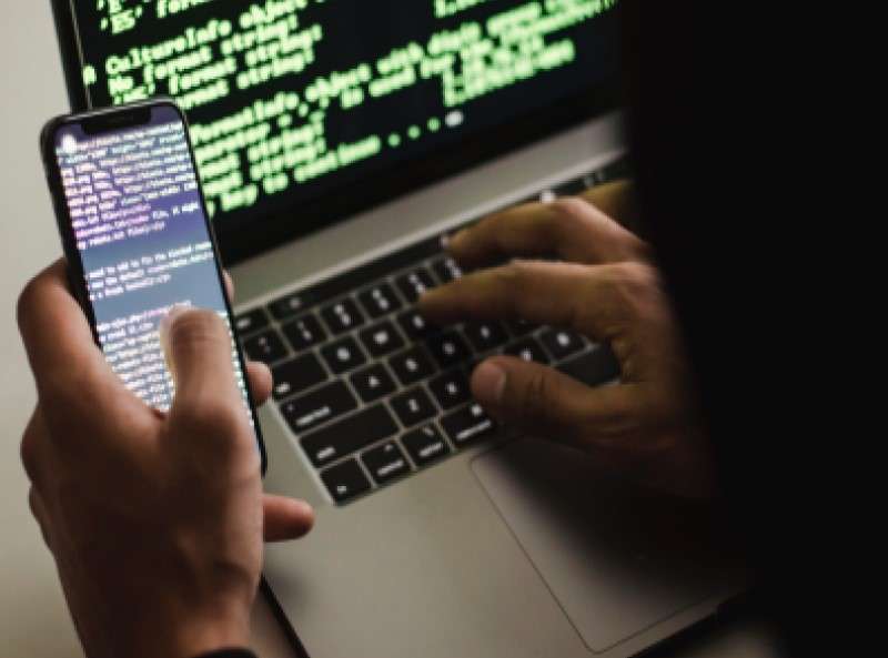 pexels sora shimazaki 5935791