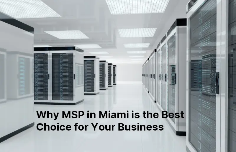 Why MSP in Miami is the Best Choice for Your Business 111